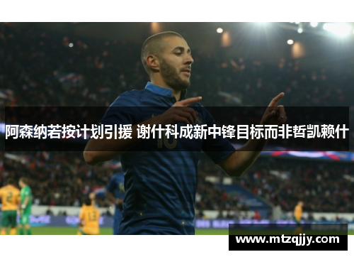 阿森纳若按计划引援 谢什科成新中锋目标而非哲凯赖什