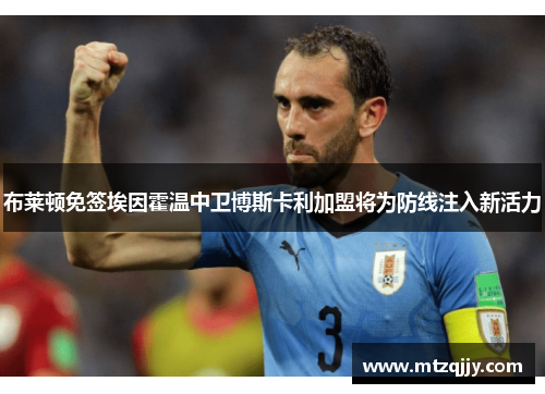 布莱顿免签埃因霍温中卫博斯卡利加盟将为防线注入新活力