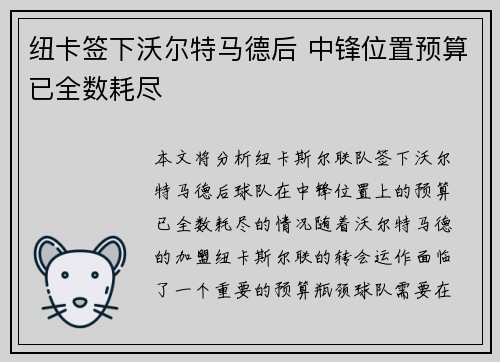 纽卡签下沃尔特马德后 中锋位置预算已全数耗尽